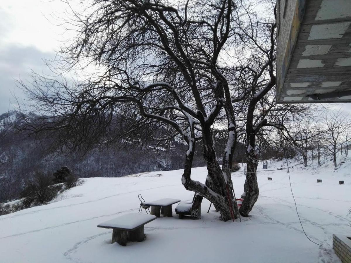Bujtina E Tomorrit Hotell Ujanik Exteriör bild
