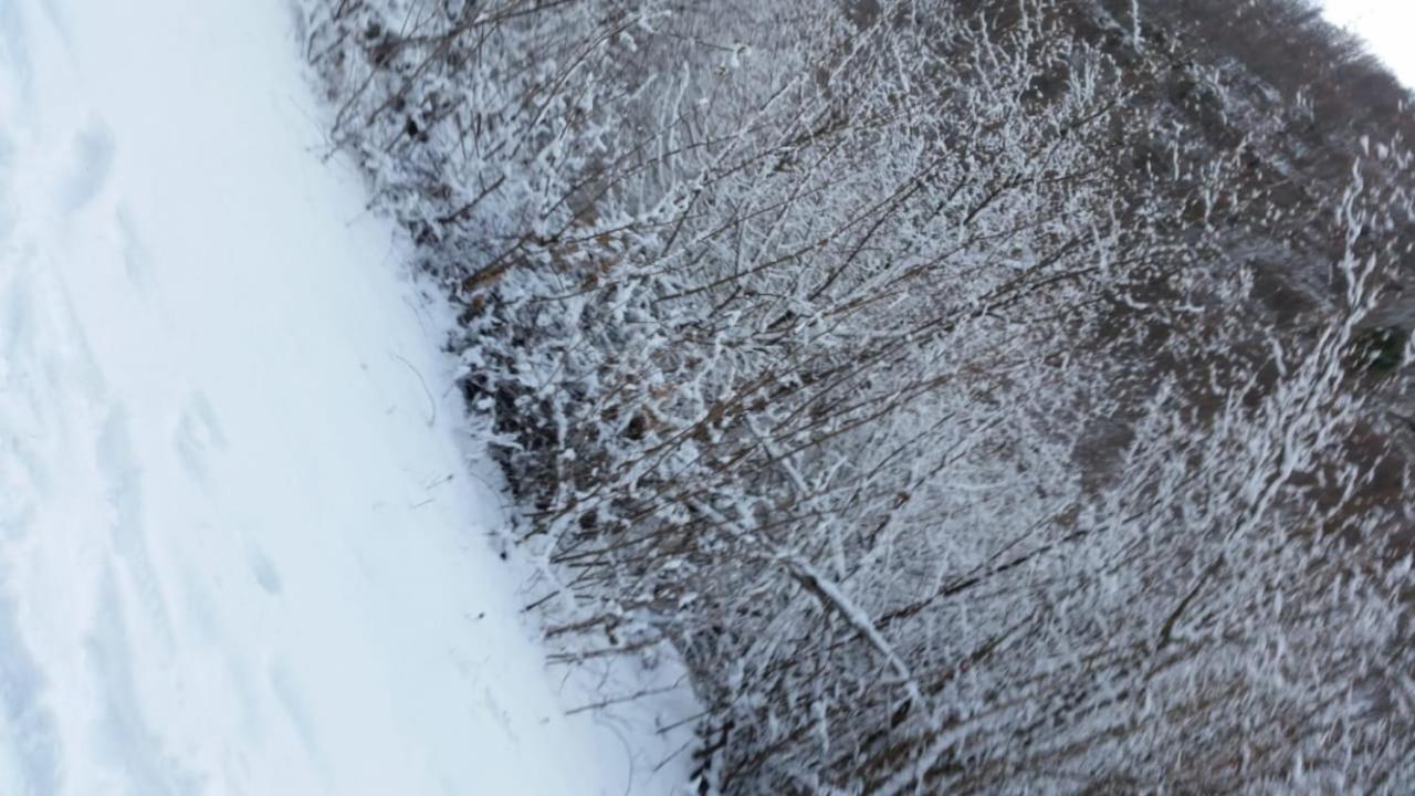 Bujtina E Tomorrit Hotell Ujanik Exteriör bild