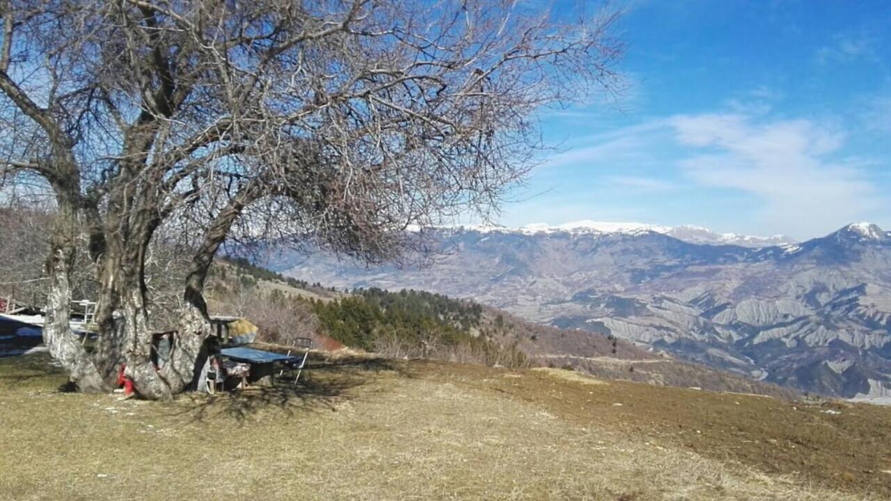 Bujtina E Tomorrit Hotell Ujanik Exteriör bild