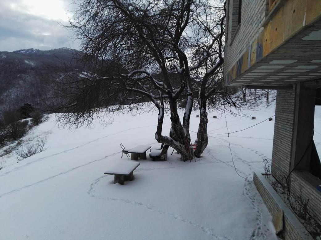 Bujtina E Tomorrit Hotell Ujanik Exteriör bild